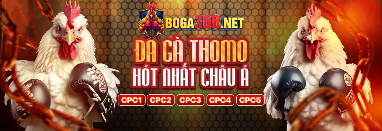 Biểu tượng giới hạn đặt cược tại nhà cái viva88
